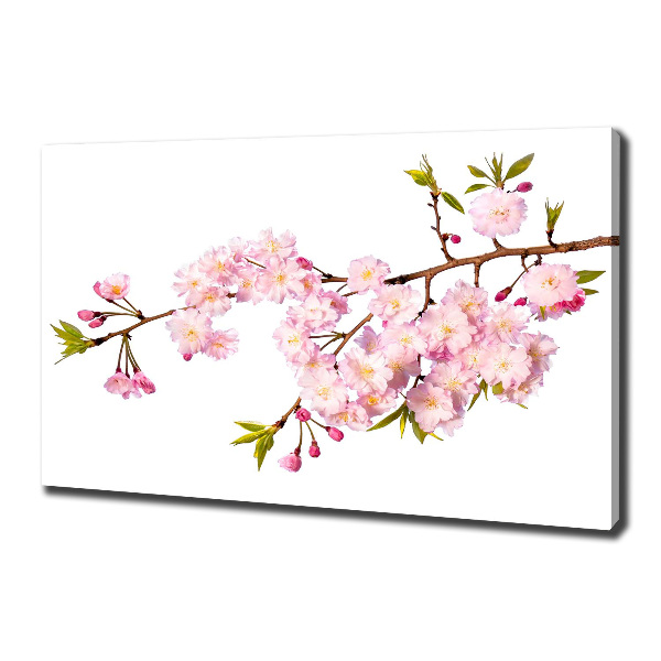 Canvas wall art Wild Rose