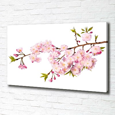 Canvas wall art Wild Rose