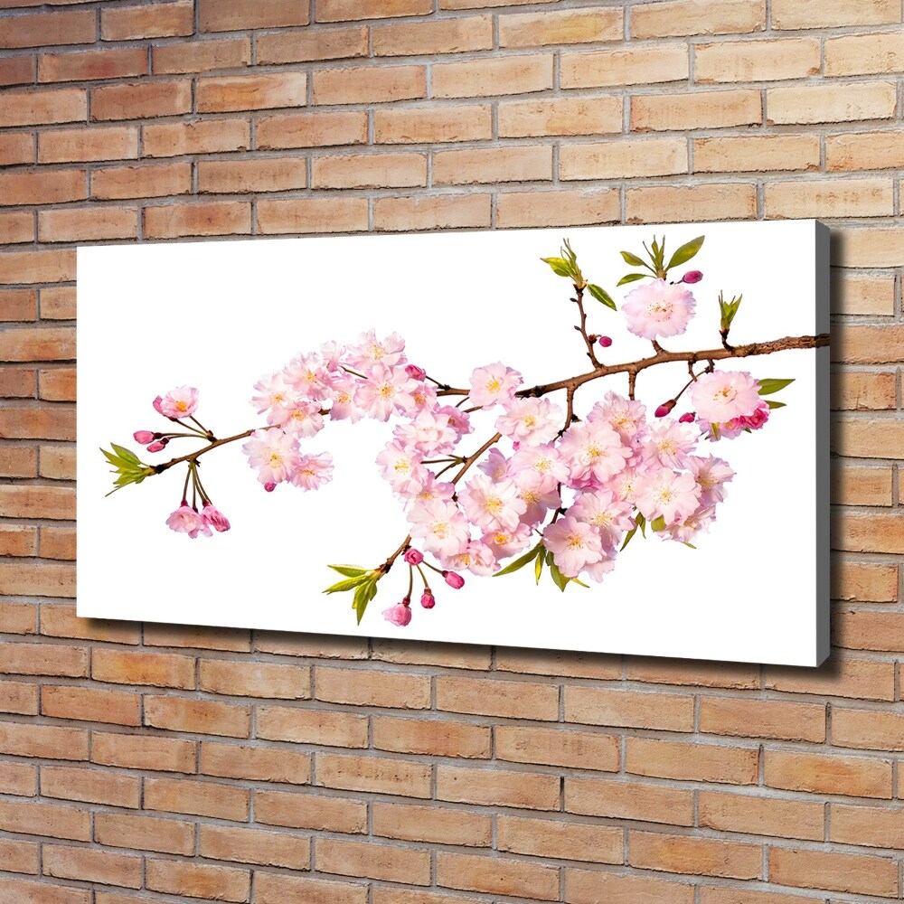 Canvas wall art Wild Rose