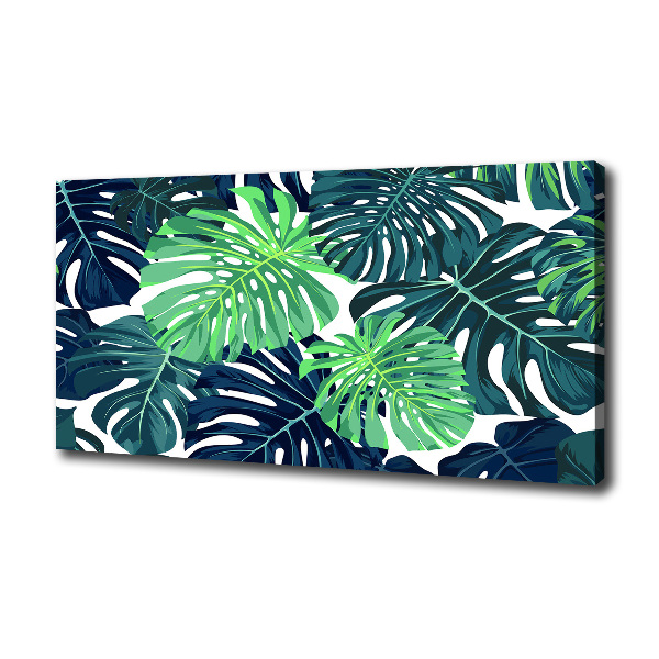 Tropical leaves