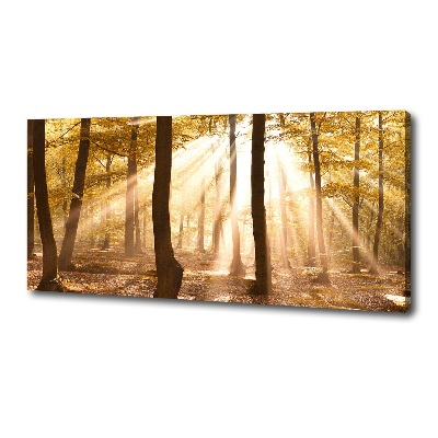 Canvas wall art Forest in autumn