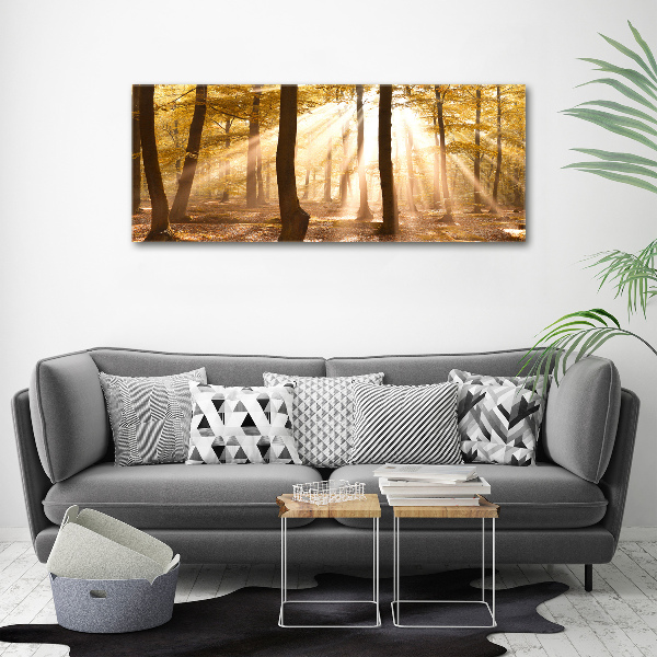 Canvas wall art Forest in autumn