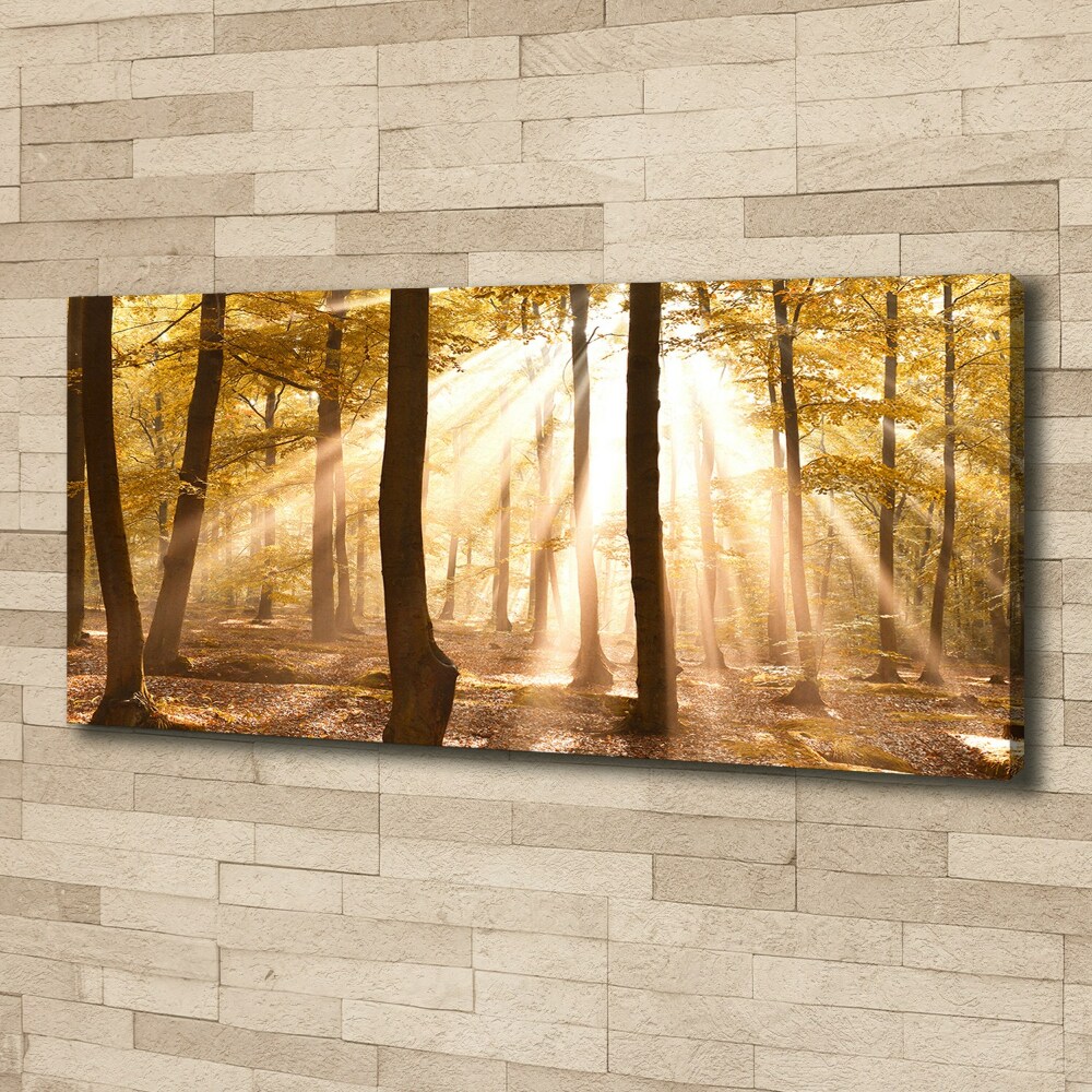 Canvas wall art Forest in autumn