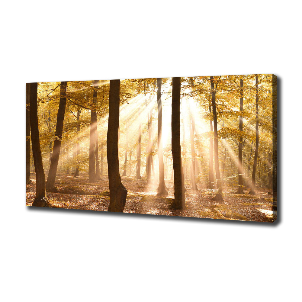 Canvas wall art Forest in autumn