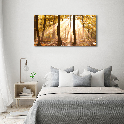 Canvas wall art Forest in autumn