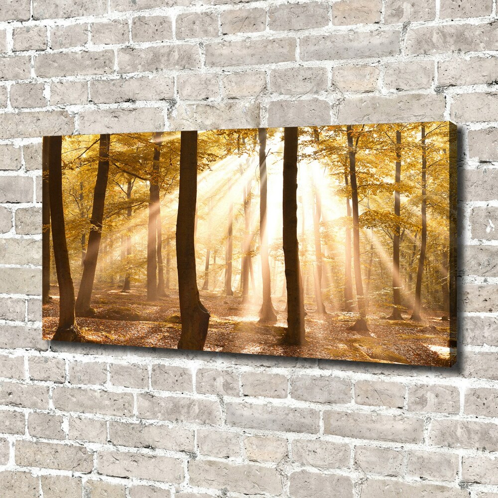 Canvas wall art Forest in autumn