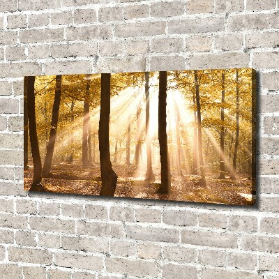 Canvas wall art Forest in autumn