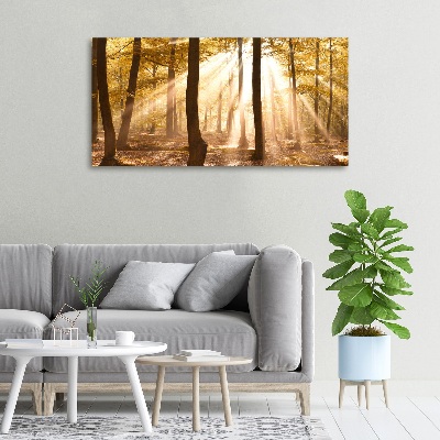 Canvas wall art Forest in autumn