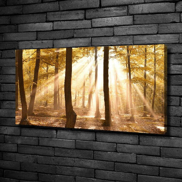 Canvas wall art Forest in autumn