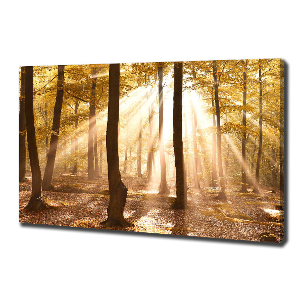 Canvas wall art Forest in autumn