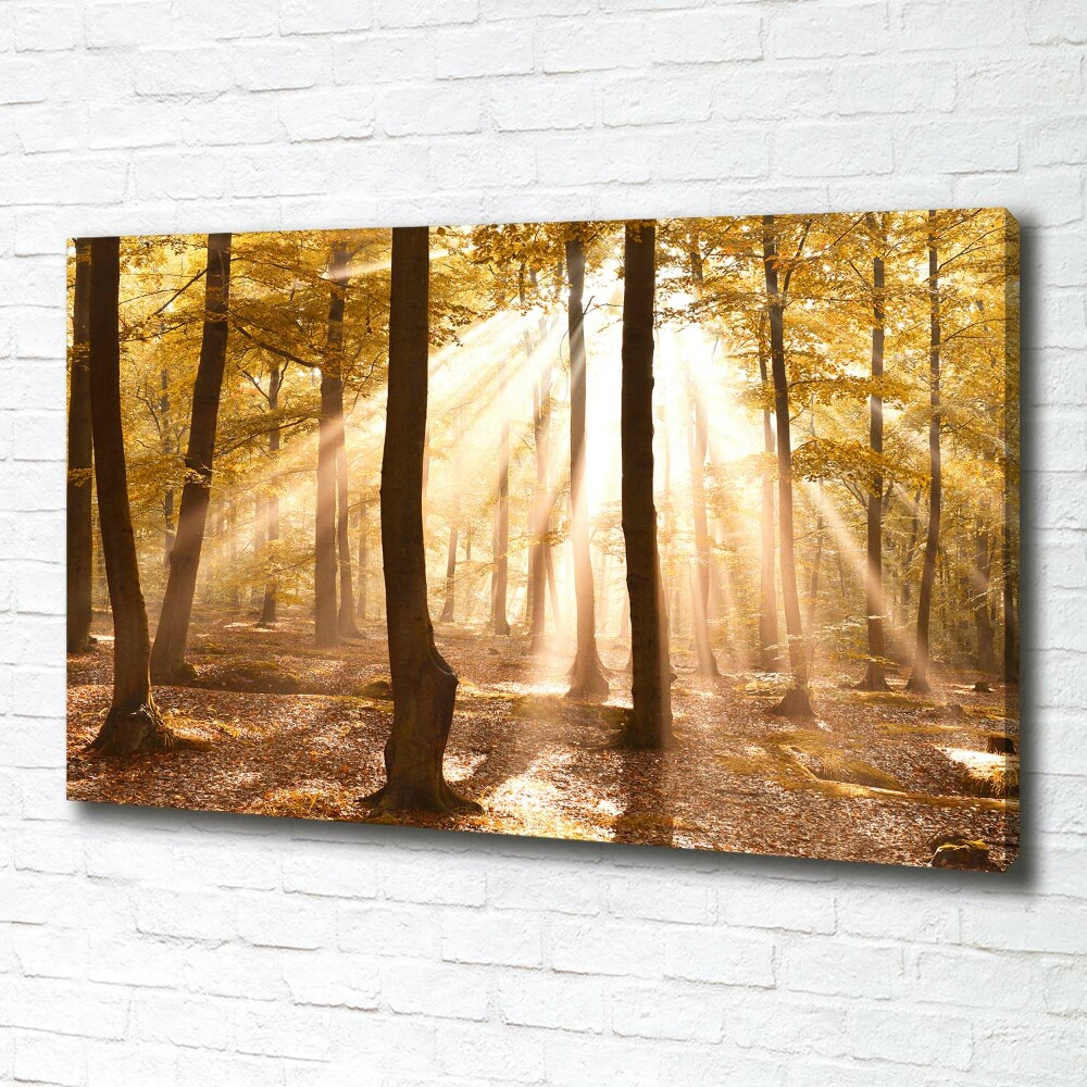 Canvas wall art Forest in autumn