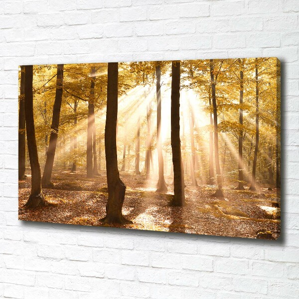 Canvas wall art Forest in autumn