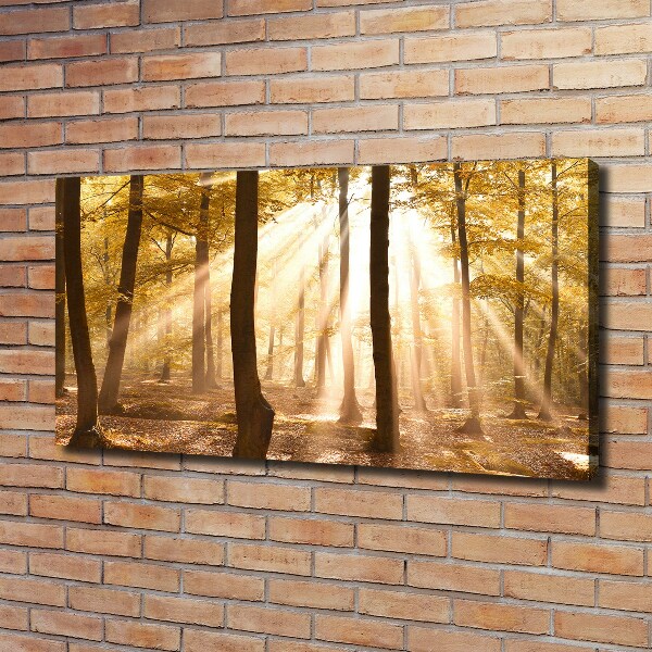 Canvas wall art Forest in autumn