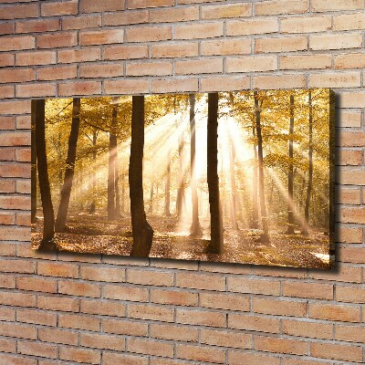 Canvas wall art Forest in autumn