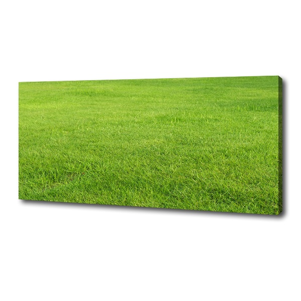 Canvas wall art green grass