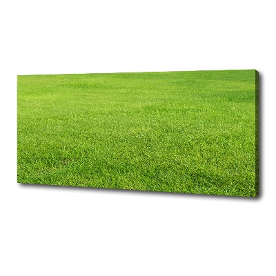 Canvas wall art green grass