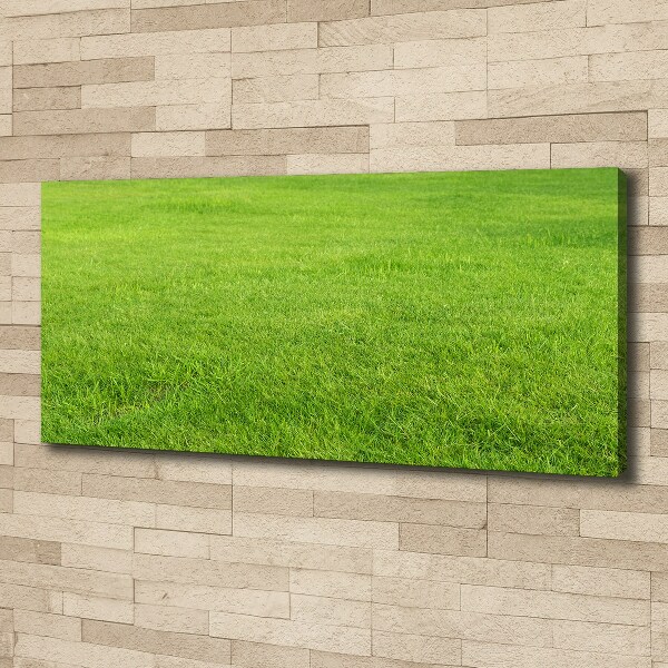 Canvas wall art green grass