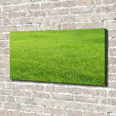 Canvas wall art green grass