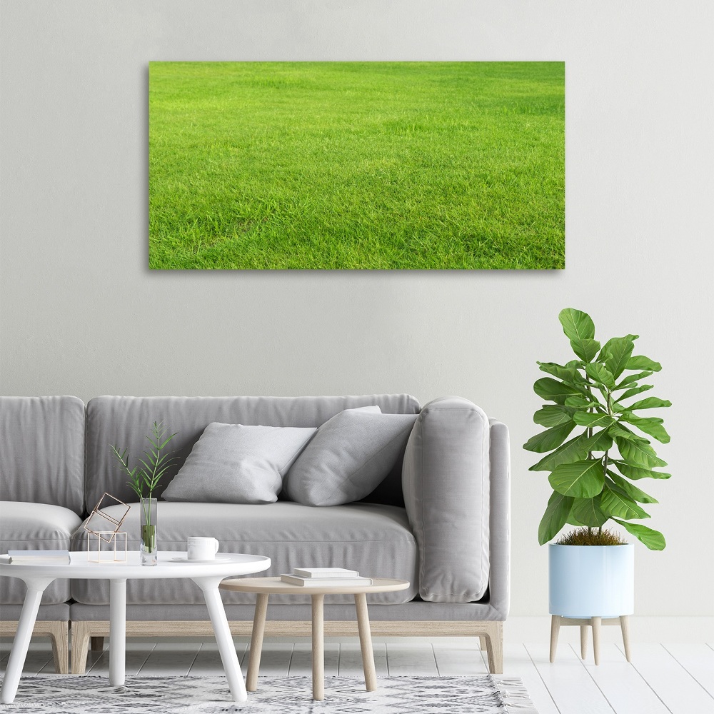 Canvas wall art green grass