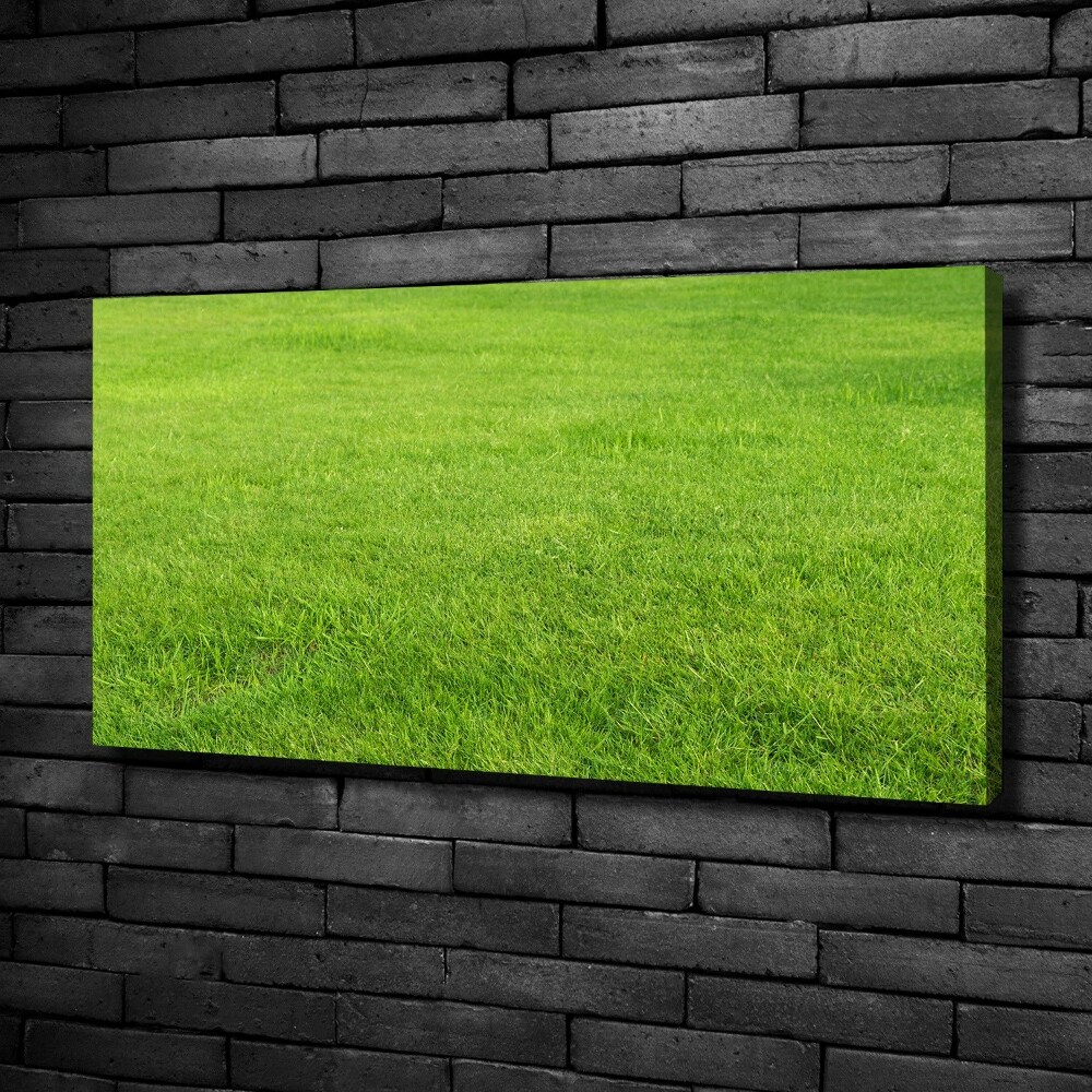 Canvas wall art green grass