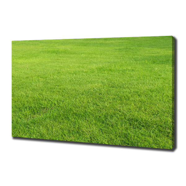 Canvas wall art green grass