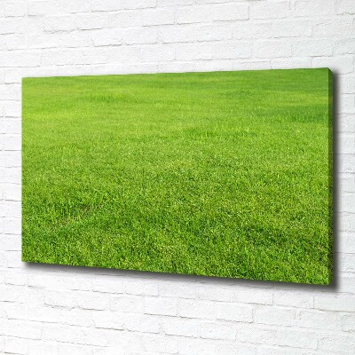 Canvas wall art green grass