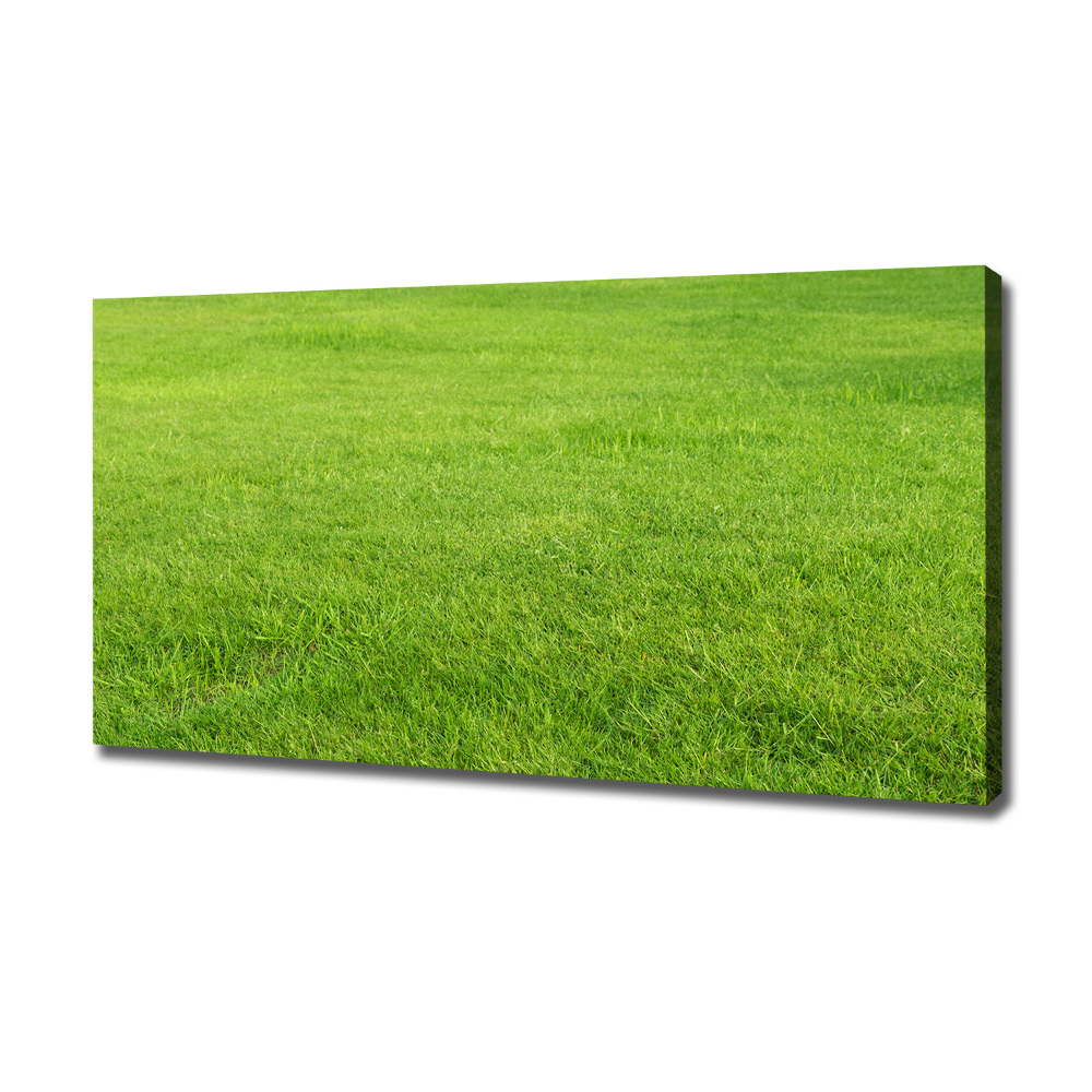 Canvas wall art green grass