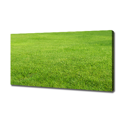 Canvas wall art green grass