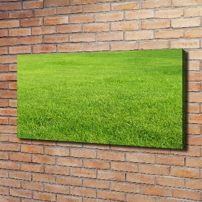 Canvas wall art green grass