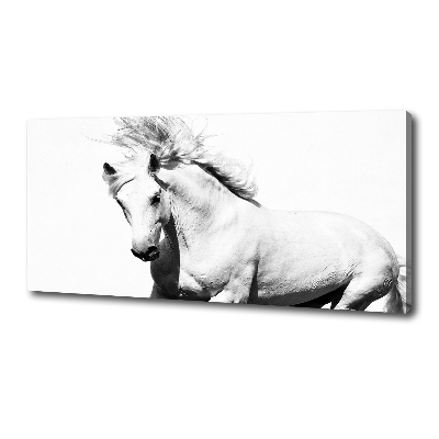 Large canvas wall art White horse