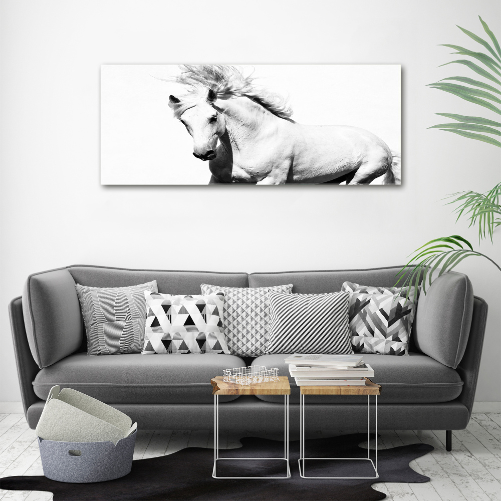 Large canvas wall art White horse