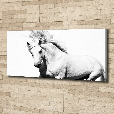 Large canvas wall art White horse