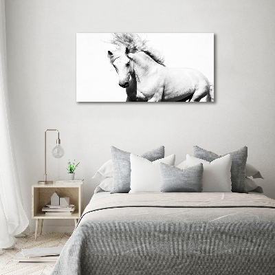 Large canvas wall art White horse