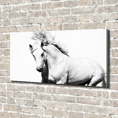 Large canvas wall art White horse