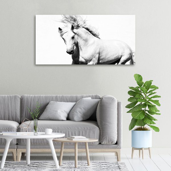 Large canvas wall art White horse