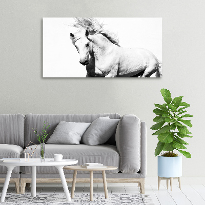 Large canvas wall art White horse