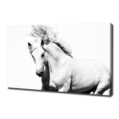 Large canvas wall art White horse