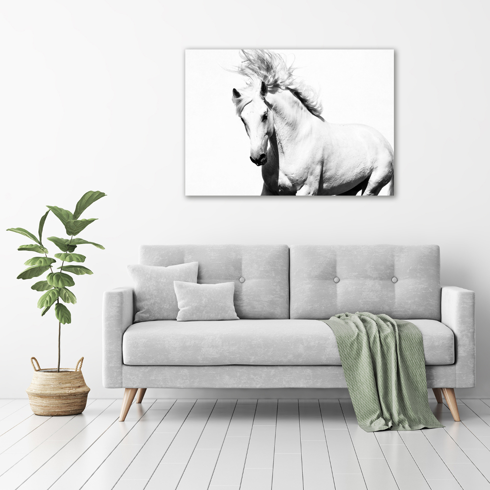 Large canvas wall art White horse