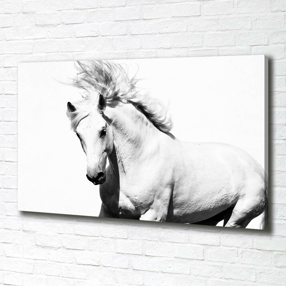 Large canvas wall art White horse