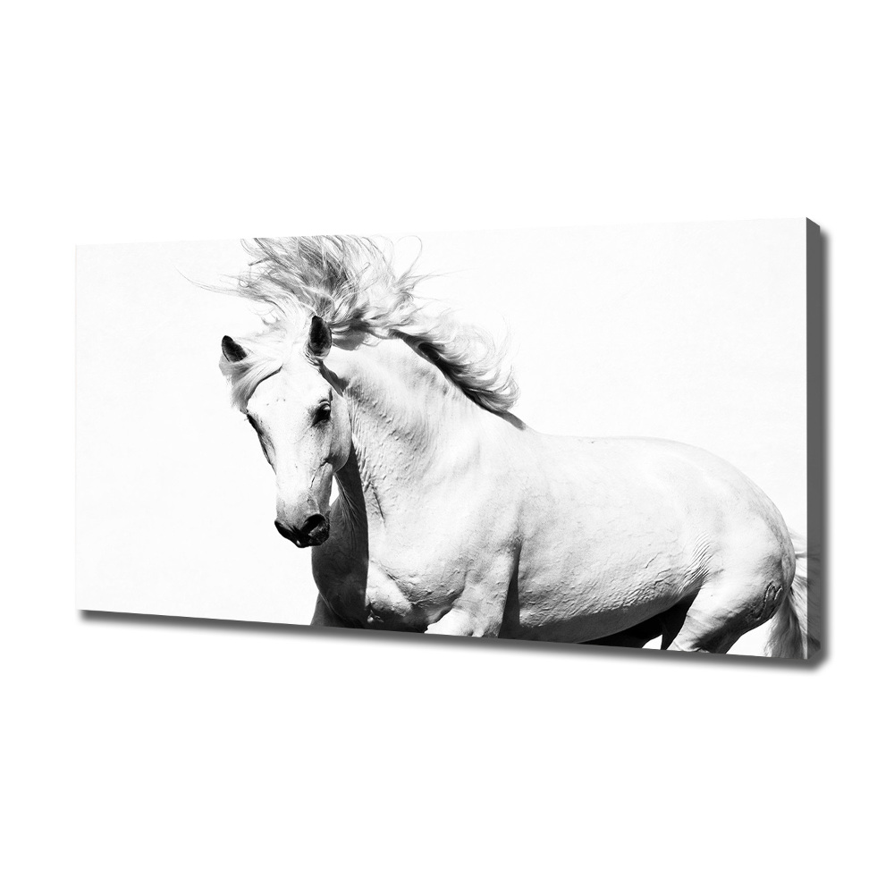 Large canvas wall art White horse