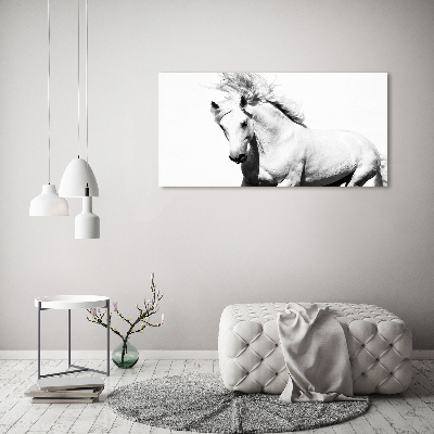 Large canvas wall art White horse