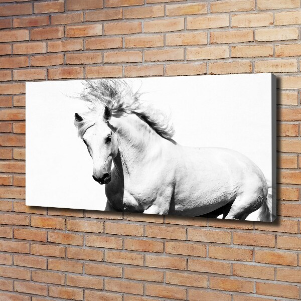 Large canvas wall art White horse