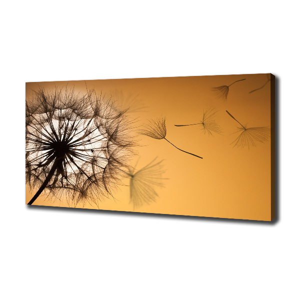 Canvas wall art Dandelion