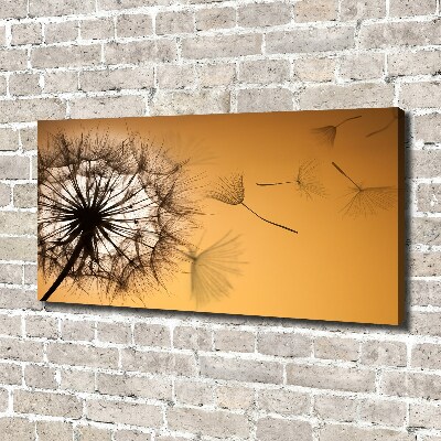 Canvas wall art Dandelion