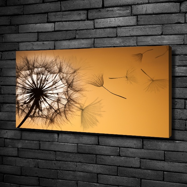 Canvas wall art Dandelion