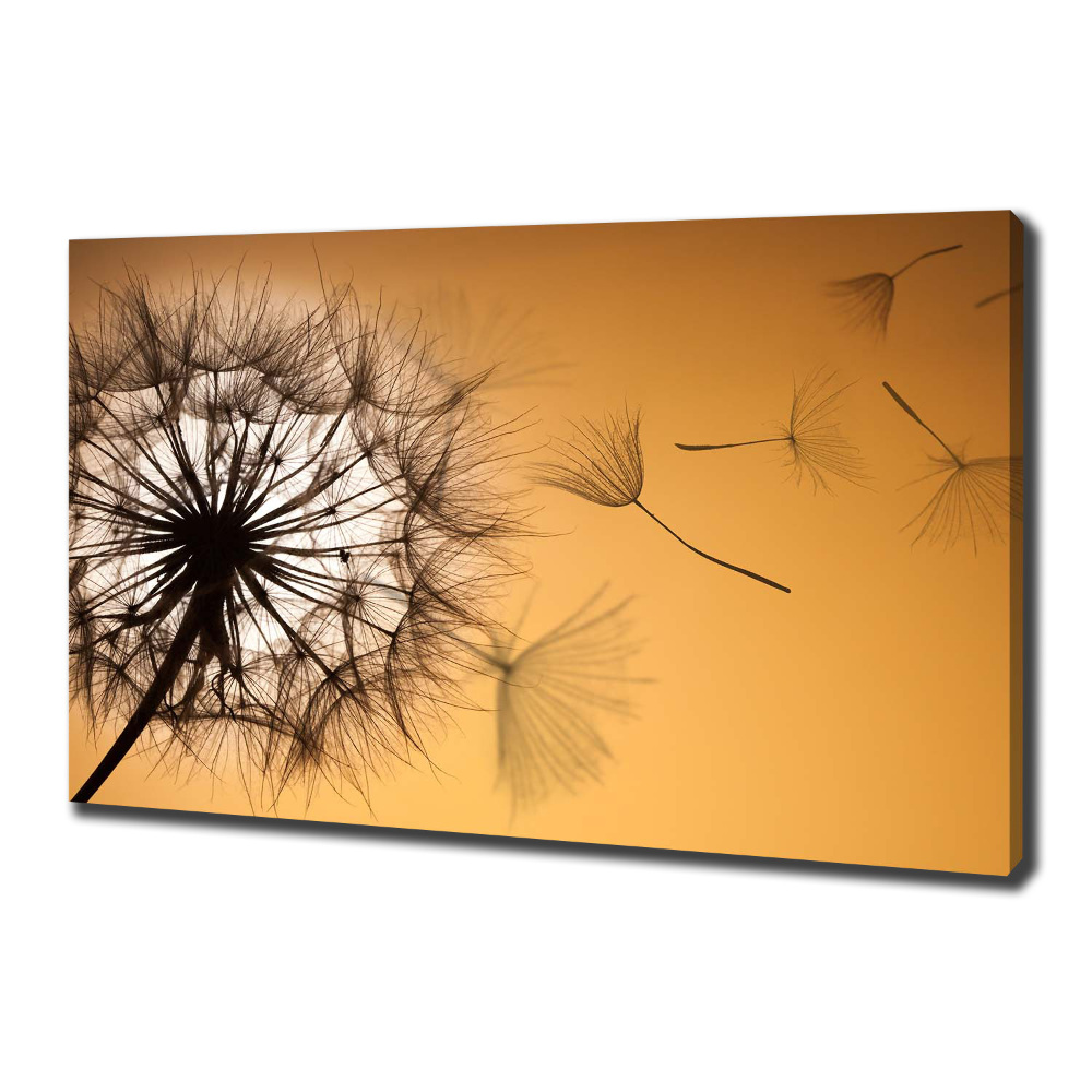 Canvas wall art Dandelion