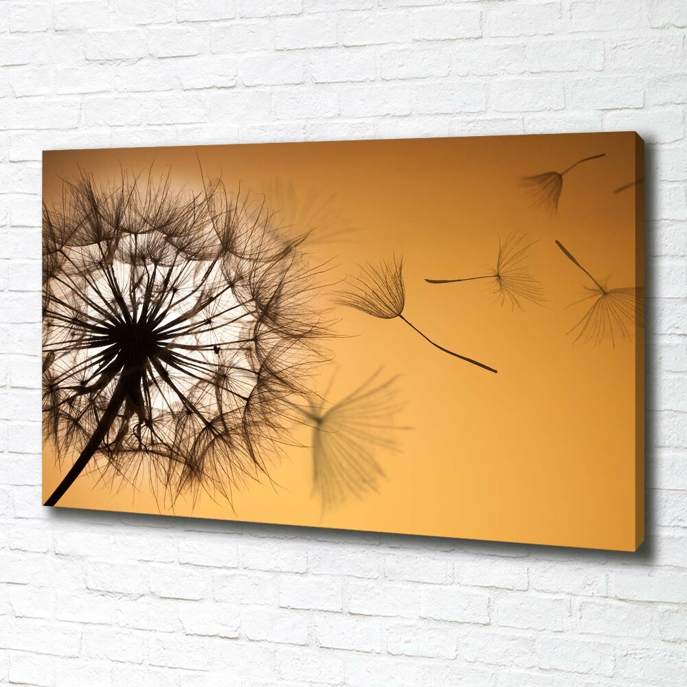 Canvas wall art Dandelion