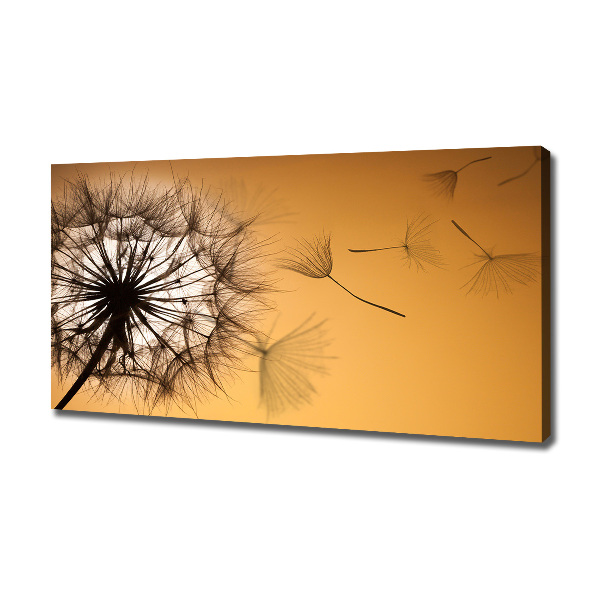 Canvas wall art Dandelion