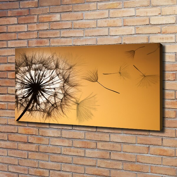 Canvas wall art Dandelion