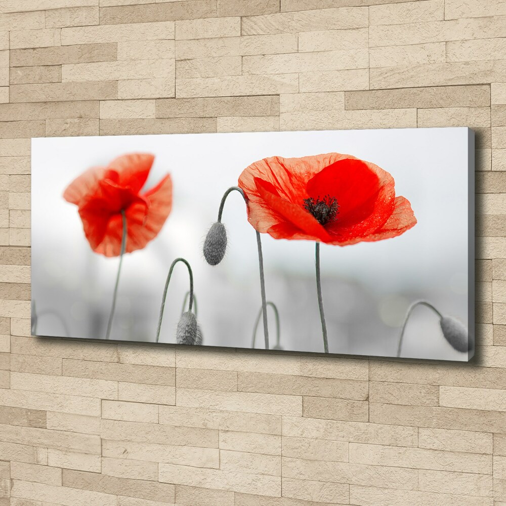 Canvas wall art Macs